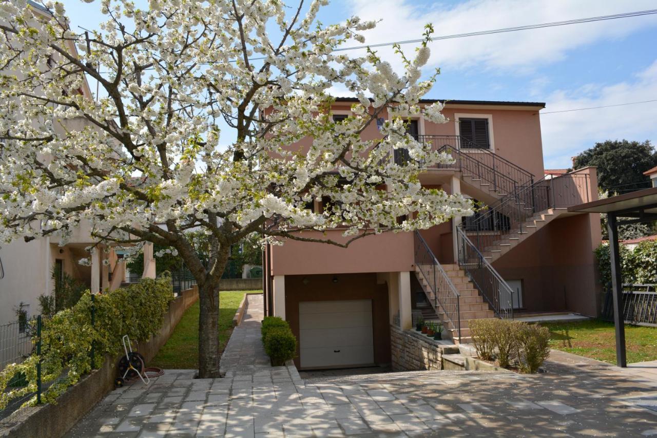 Apartments Denis & Lucija Rovinj Zewnętrze zdjęcie