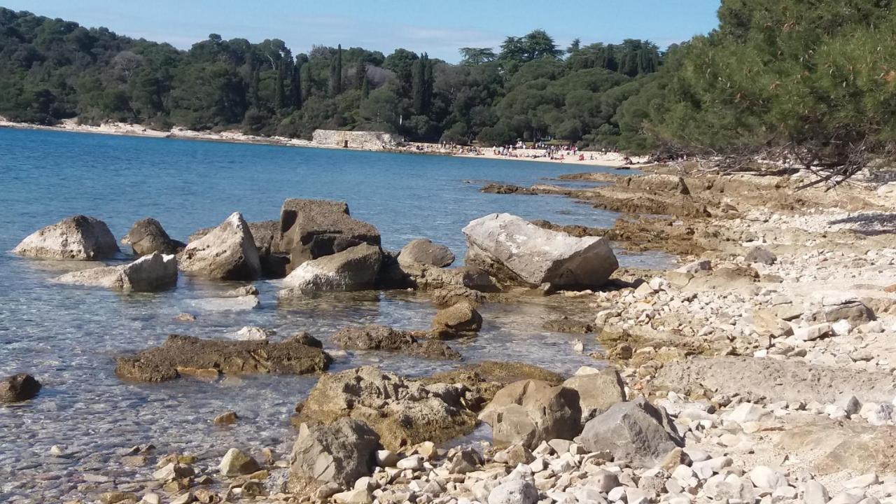 Apartments Denis & Lucija Rovinj Zewnętrze zdjęcie